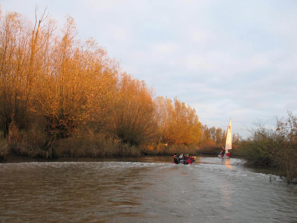 Bed And Breakfast De Biesbosch - In 'T Riet Drimmelen Zewnętrze zdjęcie