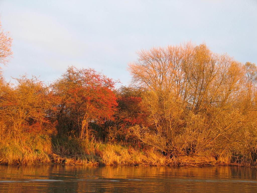 Bed And Breakfast De Biesbosch - In 'T Riet Drimmelen Zewnętrze zdjęcie